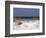 Beach on Gulf of Mexico, Al-Sherwood Hoffman-Framed Photographic Print