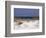 Beach on Gulf of Mexico, Al-Sherwood Hoffman-Framed Photographic Print