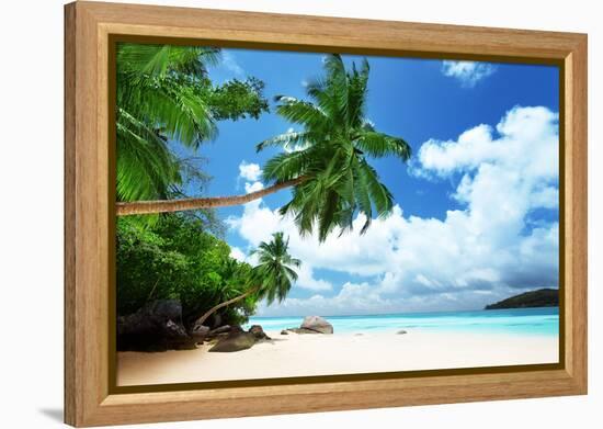 Beach on Mahe Island in Seychelles-Iakov Kalinin-Framed Premier Image Canvas