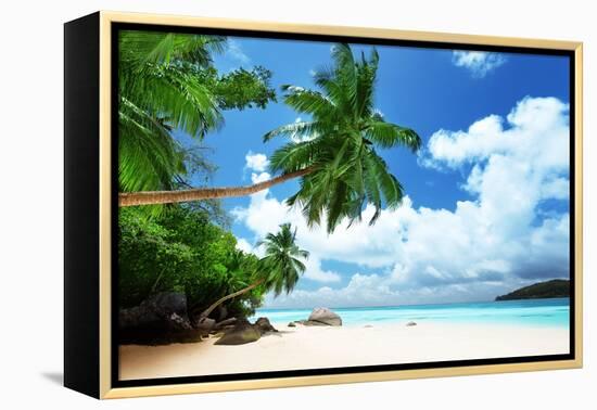 Beach on Mahe Island in Seychelles-Iakov Kalinin-Framed Premier Image Canvas