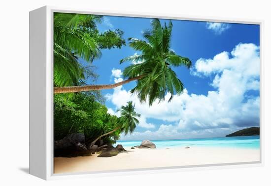 Beach on Mahe Island in Seychelles-Iakov Kalinin-Framed Premier Image Canvas