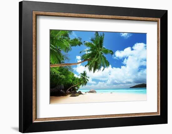 Beach on Mahe Island in Seychelles-Iakov Kalinin-Framed Photographic Print