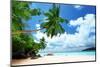 Beach on Mahe Island in Seychelles-Iakov Kalinin-Mounted Photographic Print