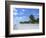 Beach on Sanibel Island, Florida, USA-Charles Sleicher-Framed Photographic Print