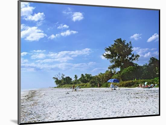 Beach on Sanibel Island, Florida, USA-Charles Sleicher-Mounted Photographic Print