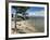 Beach on the Lopar Peninsula, Rab Island, Kvarner Gulf, Croatia, Adriatic, Europe-Stuart Black-Framed Photographic Print