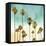 Beach Palms II-Devon Davis-Framed Stretched Canvas