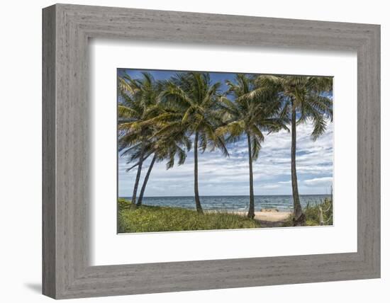 Beach Palms-Mary Lou Johnson-Framed Art Print