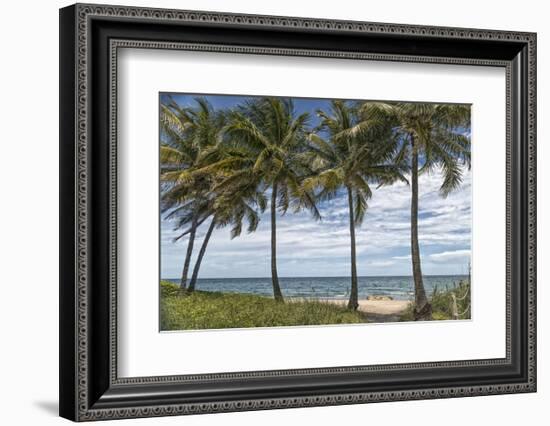 Beach Palms-Mary Lou Johnson-Framed Art Print