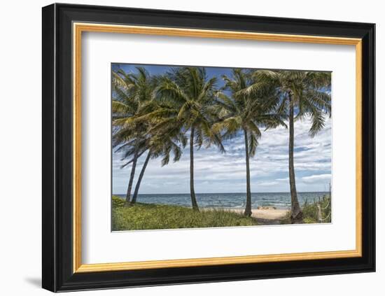 Beach Palms-Mary Lou Johnson-Framed Art Print