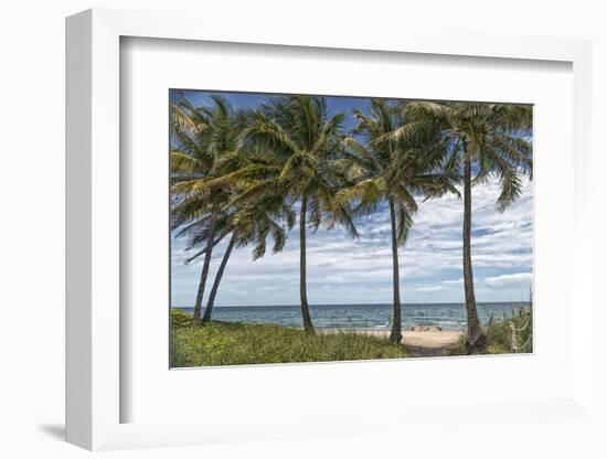 Beach Palms-Mary Lou Johnson-Framed Art Print