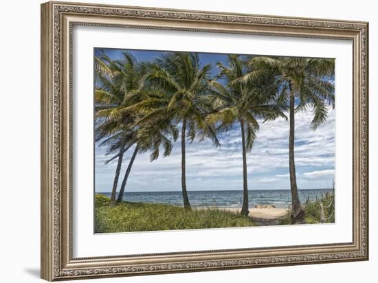 Beach Palms-Mary Lou Johnson-Framed Art Print