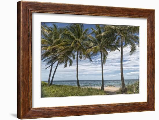 Beach Palms-Mary Lou Johnson-Framed Art Print