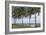 Beach Palms-Mary Lou Johnson-Framed Art Print