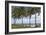 Beach Palms-Mary Lou Johnson-Framed Art Print