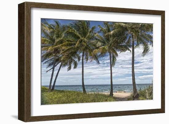 Beach Palms-Mary Lou Johnson-Framed Art Print