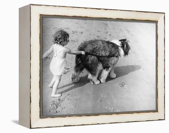 Beach Pals-null-Framed Premier Image Canvas