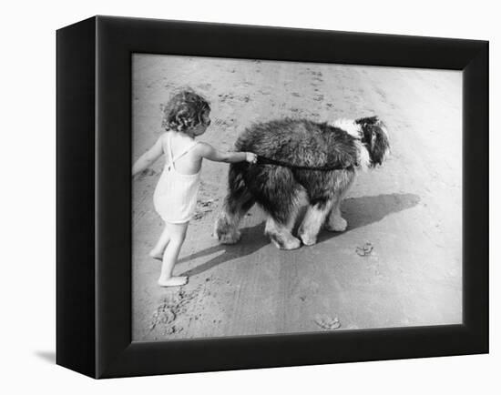Beach Pals-null-Framed Premier Image Canvas