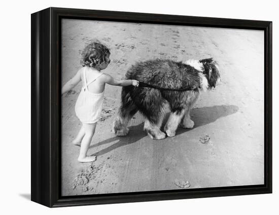 Beach Pals-null-Framed Premier Image Canvas