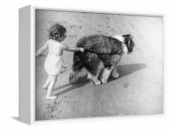 Beach Pals-null-Framed Premier Image Canvas