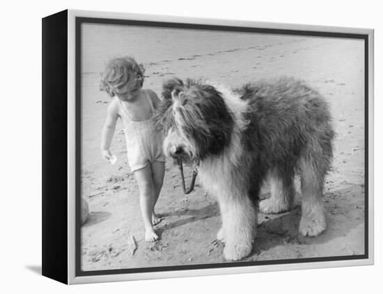 Beach Pals-null-Framed Premier Image Canvas