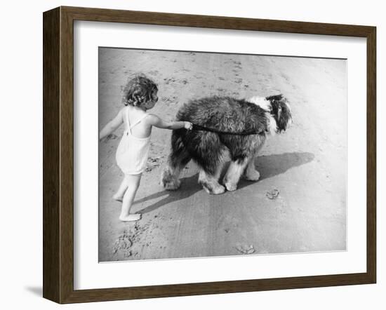 Beach Pals-null-Framed Photographic Print