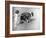 Beach Pals-null-Framed Photographic Print