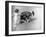 Beach Pals-null-Framed Photographic Print