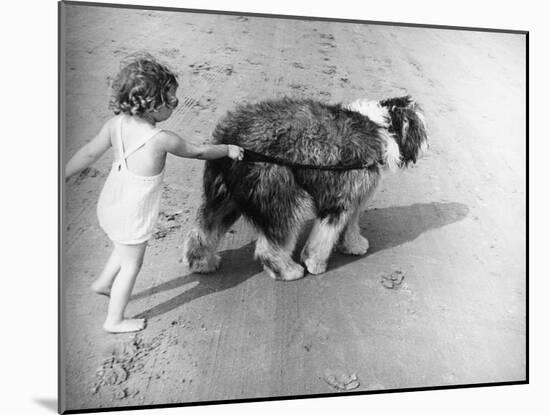 Beach Pals-null-Mounted Photographic Print