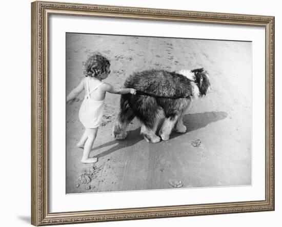 Beach Pals-null-Framed Photographic Print