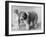 Beach Pals-null-Framed Photographic Print