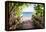 Beach Path - In the Style of Oil Painting-Philippe Hugonnard-Framed Premier Image Canvas