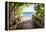 Beach Path - In the Style of Oil Painting-Philippe Hugonnard-Framed Premier Image Canvas