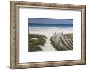 Beach Path-Zhen-Huan Lu-Framed Art Print