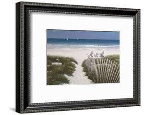 Beach Path-Zhen-Huan Lu-Framed Art Print