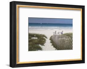 Beach Path-Zhen-Huan Lu-Framed Art Print