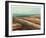 Beach Path-Carl Stieger-Framed Limited Edition