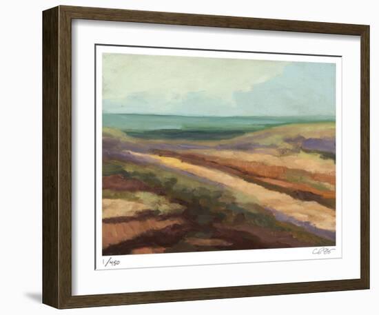 Beach Path-Carl Stieger-Framed Limited Edition