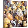 Beach Pebbles, 2007-Martin Decent-Mounted Giclee Print
