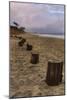 Beach Posts at Half Moon Bay-Vincent James-Mounted Photographic Print