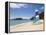 Beach, Pulau Datai, Pulau Langkawi, Langkawi Island, Malaysia-Gavin Hellier-Framed Premier Image Canvas