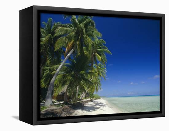 Beach, Rangiroa Atoll, Tuamotu Archipelago, French Polynesia, South Pacific Islands, Pacific-Sylvain Grandadam-Framed Premier Image Canvas