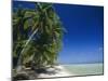 Beach, Rangiroa Atoll, Tuamotu Archipelago, French Polynesia, South Pacific Islands, Pacific-Sylvain Grandadam-Mounted Photographic Print