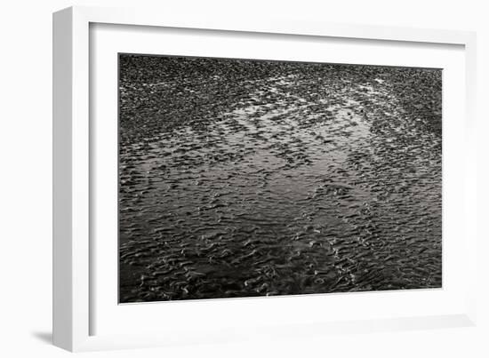 Beach Reflection 1-Lee Peterson-Framed Photographic Print