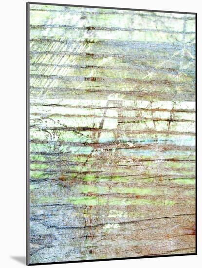 Beach Reflections I-Danielle Harrington-Mounted Art Print