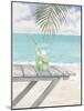 Beach Refreshment-Arnie Fisk-Mounted Art Print