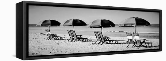 Beach Reunion-Gail Peck-Framed Premier Image Canvas