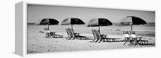 Beach Reunion-Gail Peck-Framed Premier Image Canvas