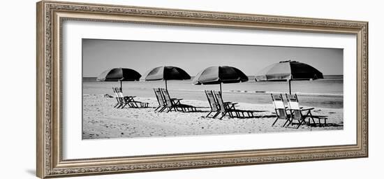 Beach Reunion-Gail Peck-Framed Photographic Print