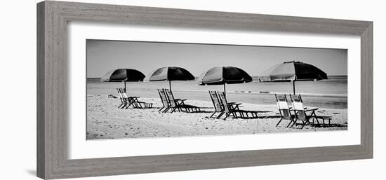 Beach Reunion-Gail Peck-Framed Photographic Print